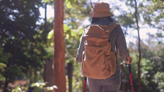 一个女人享受夏天在森林里徒步旅行的自由，周围是令人惊叹的大自然