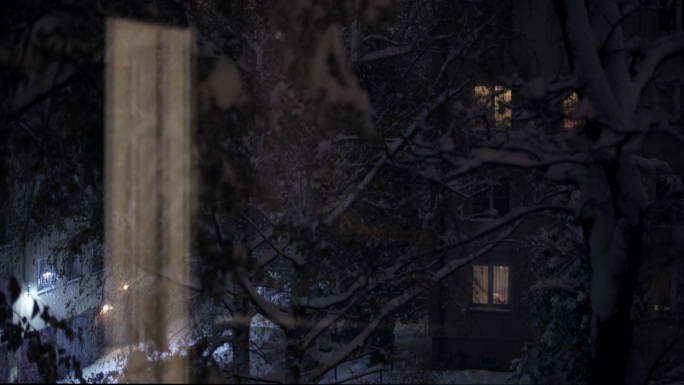 雪，夜，窗景，反射门