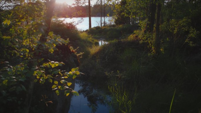 一条小溪在阳光下汇入湖中，瑞典的傍晚