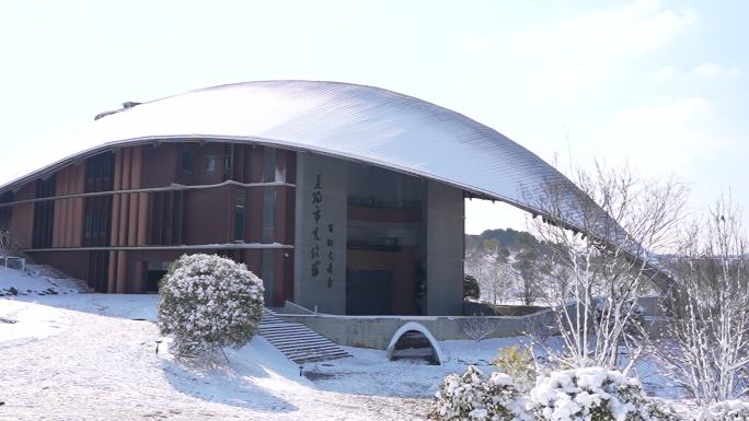 益阳 一园两中心 雪景航拍宣传片空景