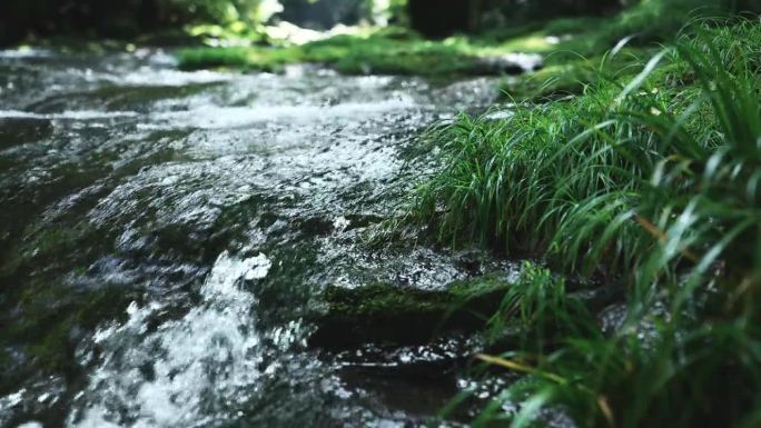 熊本县菊地峡的原始山涧