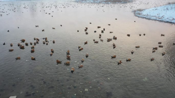 呼和浩特千岛湖