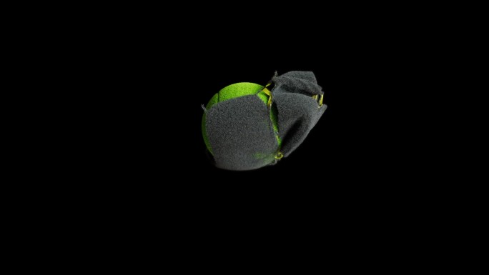 网球三维动画逼真素材