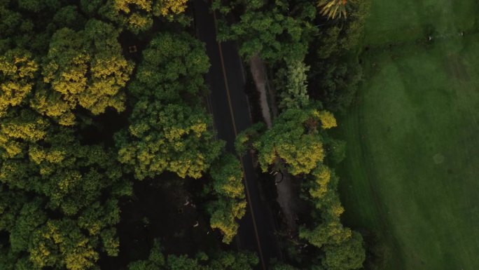 无人机飞过空旷的道路，绿树环绕，乡村，放大画面