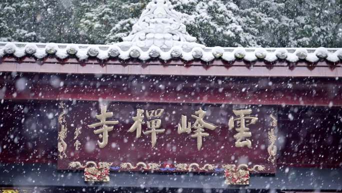 唯美雪景四川荥经云峰寺古树公园下雪