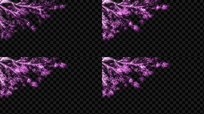 紫色水晶发光树枝花开生长动画-带透明通道