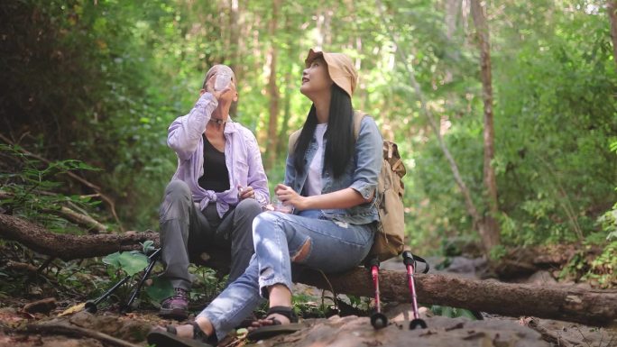 活跃的老年妇女和年轻妇女享受在森林徒步旅行的自由在夏天，被惊人的自然包围