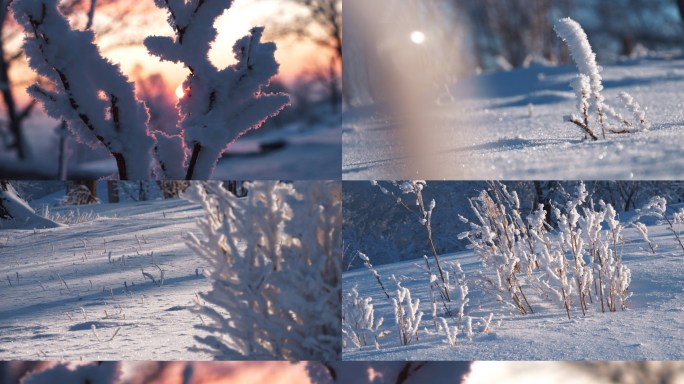 大寒小寒大雪后唯美雪景和雾凇