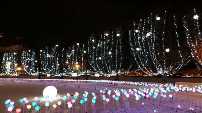 圣彼得堡，俄罗斯。新年和圣诞节。挂满花环的树和五颜六色的灯笼。市中心的圣诞树。