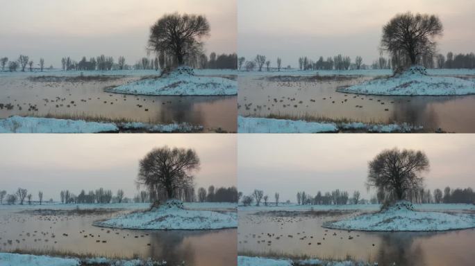 呼和浩特千岛湖