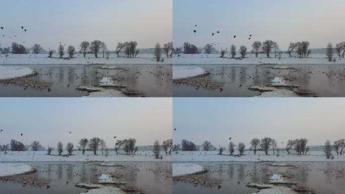 呼和浩特千岛湖