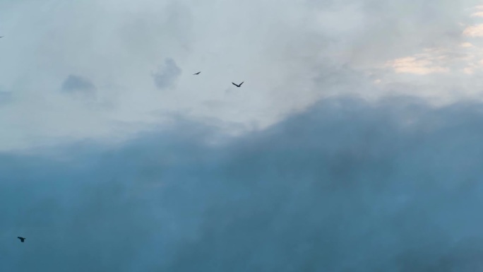 一小群乌鸦的剪影飞过阴云密布的蓝天