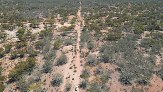 西澳丛林地区的矿山勘探和土壤取样活动