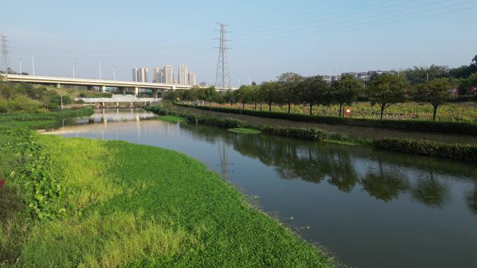 【高清】广西南宁兴宁区那考河湿地公园航拍