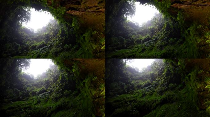 倾斜显示了特塞拉岛阿尔加多卡沃洞的苔藓熔岩墙