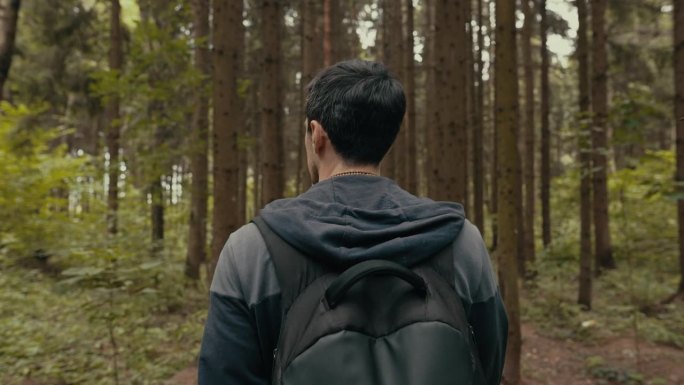 一个人穿过森林