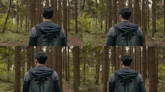 一个人穿过森林