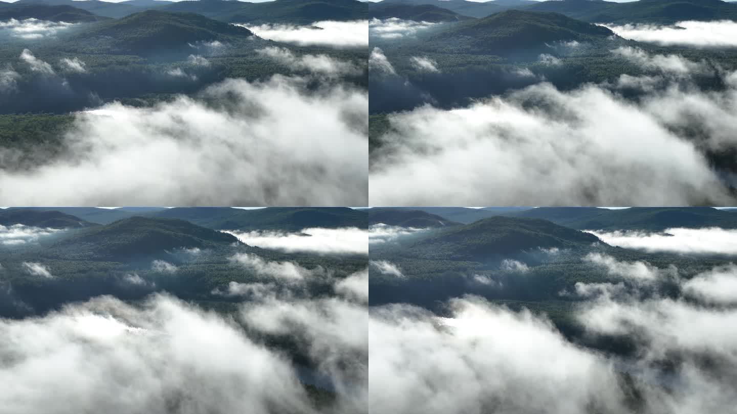 内蒙古自然风景森林云海云雾缥缈自然风光