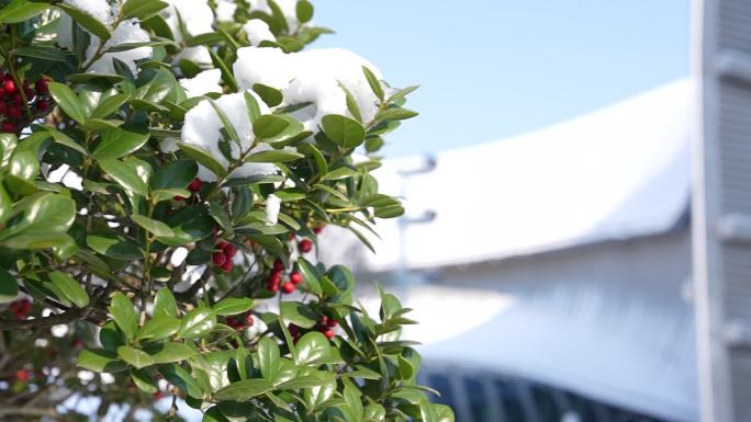 益阳 一园两中心 雪景航拍宣传片空景