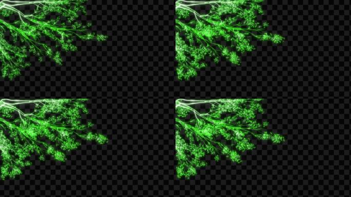 绿色水晶发光树枝生长动画-带透明通道