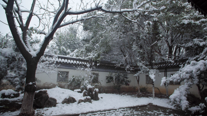 4k唯美大雪纷飞中的梅花腊梅和园林古建筑