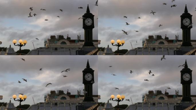 海鸥飞过英国东苏塞克斯郡布莱顿的宫殿码头