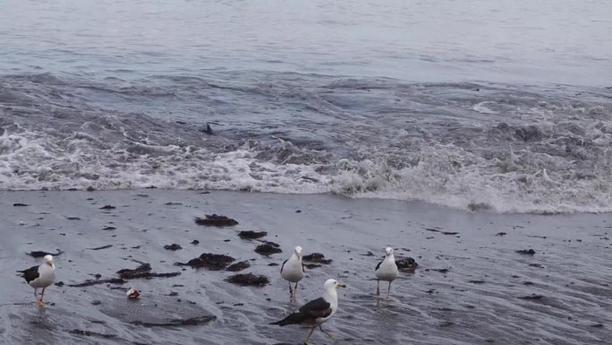 海上异常