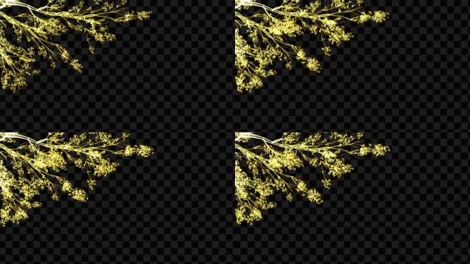 金色水晶发光树枝花开生长动画-带透明通道