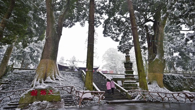 唯美雪景四川荥经云峰寺古树公园下雪