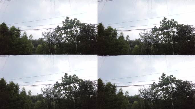 夏天树林下暴雨雨水特写视频素材