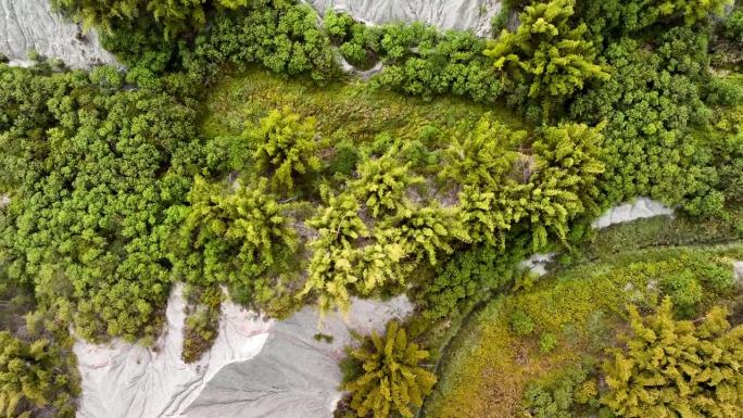 Aerial top down shot of green tropical plants cove