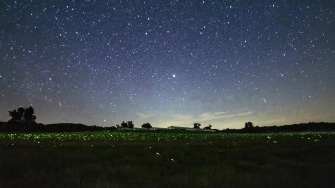 在繁星点点的夜空下，萤火虫飞舞的田野