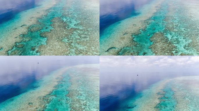 南海西沙群岛岛屿盘石屿珊瑚礁【精品】