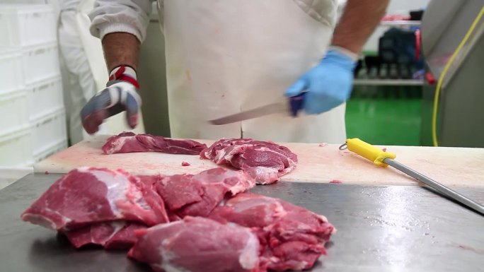 带着锁子甲网手套的肉类包装厂工人正在切生肉