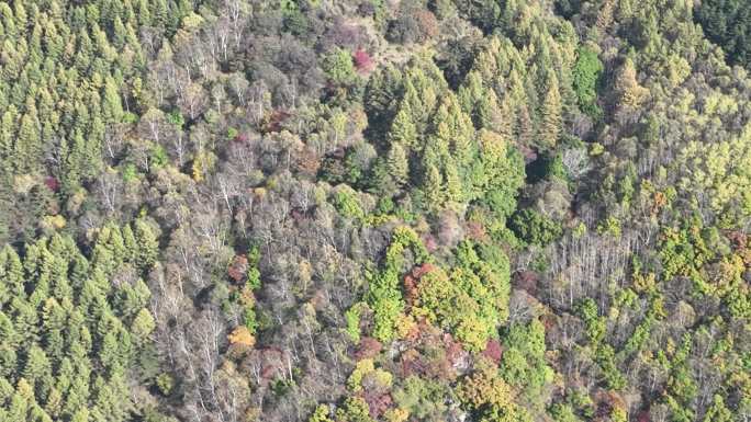 霍州七里峪风景区4K航拍