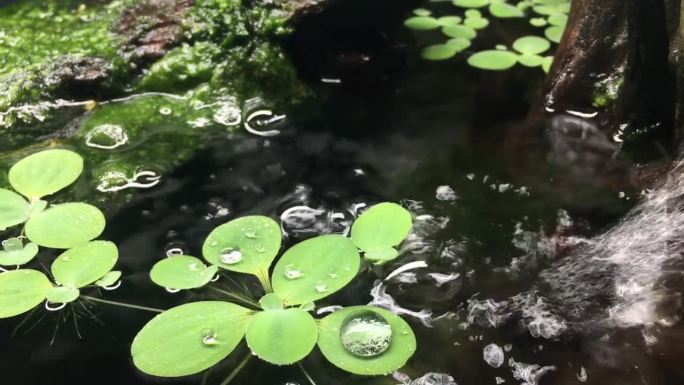 喷泉在鱼缸里流动