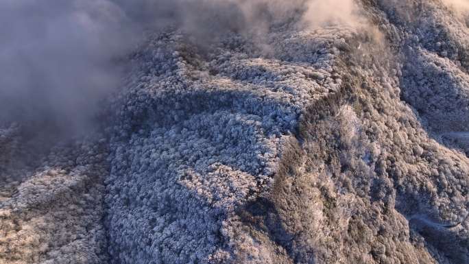4K 贵州雷公山冬季雪景10