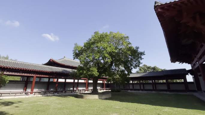 广西北海冠头岭佛教寺庙普渡寺寺院