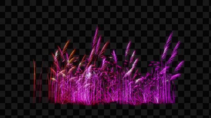 紫色水晶发光芦苇生长动画-带透明通道