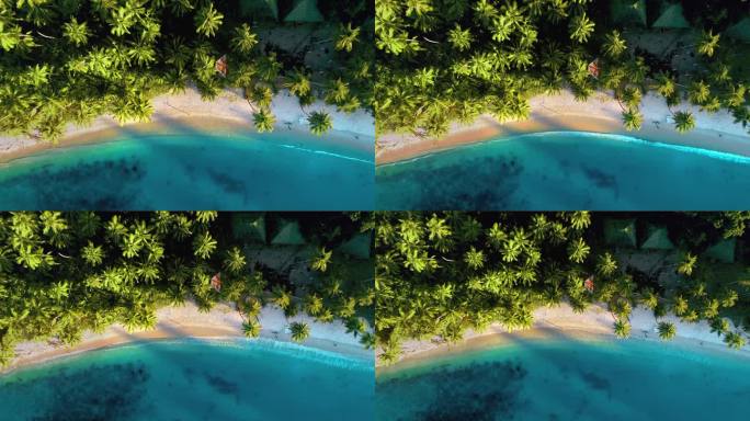 菲律宾巴拉望岛巴顿港白沙滩鸟瞰图。