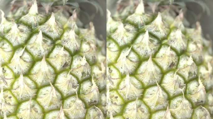 菠萝超近距离视角，垂直电影化