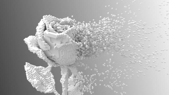 数字花白玫瑰分解为3d像素。3 d动画。4 k。