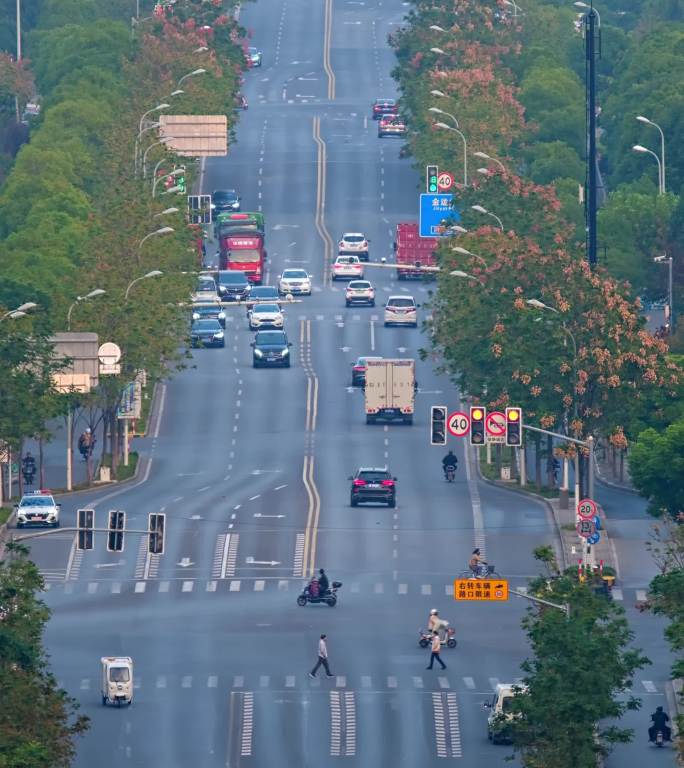 上海 道路 车流 交通 延时 高架 夜景