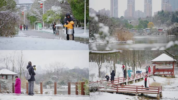 在公园玩雪的人群