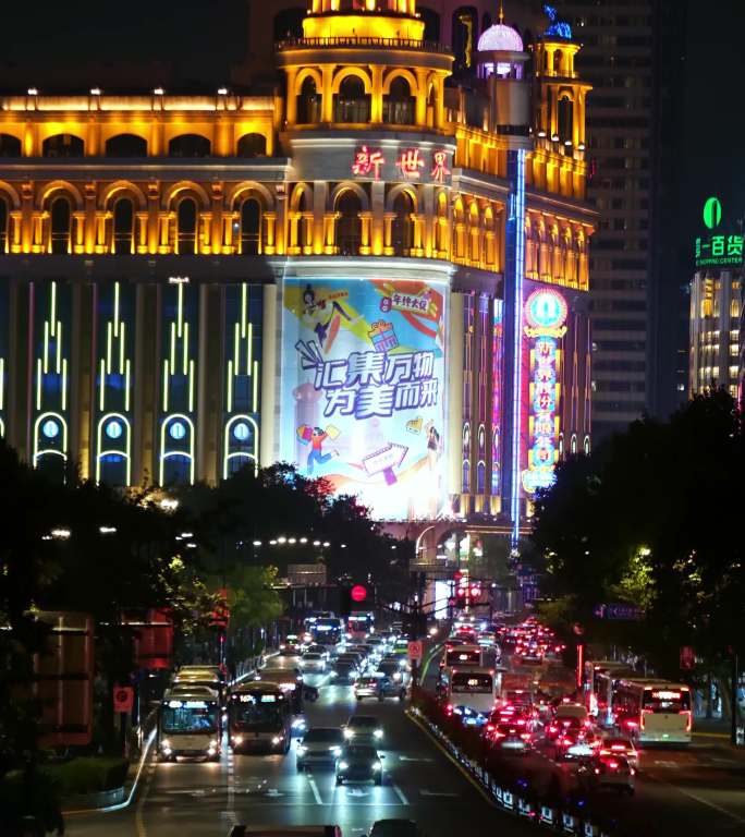 上海 道路 车流 交通 延时 高架 夜景