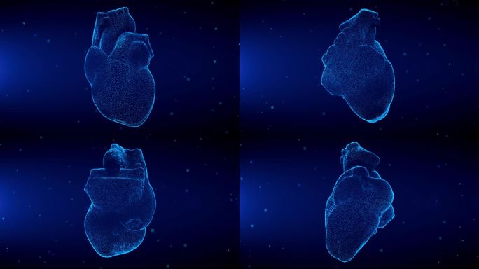 蓝色闪耀人类3d心脏全息图扫描效果与光耀斑闪烁粒子旋转运动视图