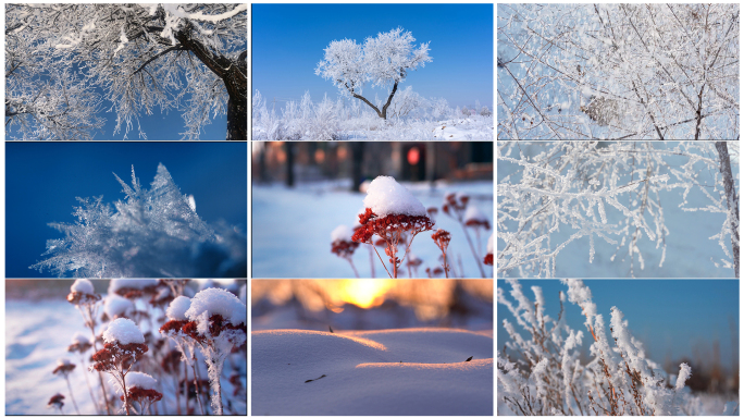 冬天唯美雪景雾凇空镜