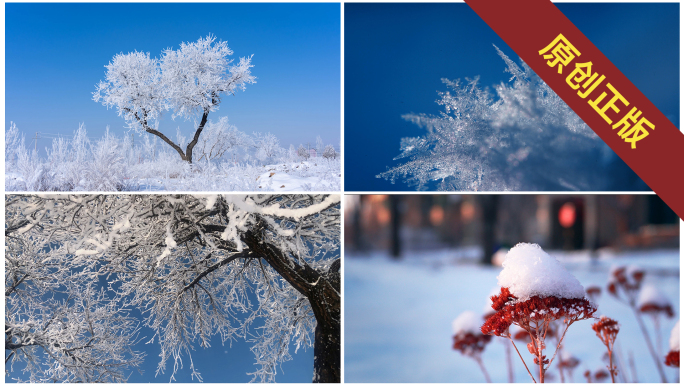 冬天唯美雪景雾凇空镜