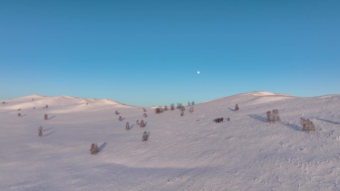 大兴安岭自然风景丘陵雪原蓝天圆月