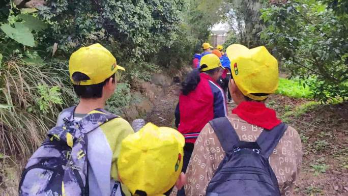 行走背影走山路野外脚步光影脚步登山素材